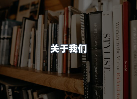 专业团队